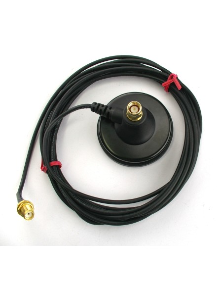 RB 16 NAGOYA PIED MAG