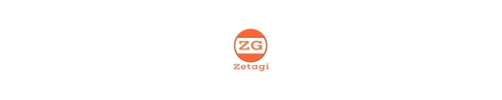 Amplificateurs ZETAGI